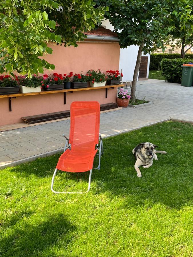 Apartment Ruzica Sukošan Esterno foto