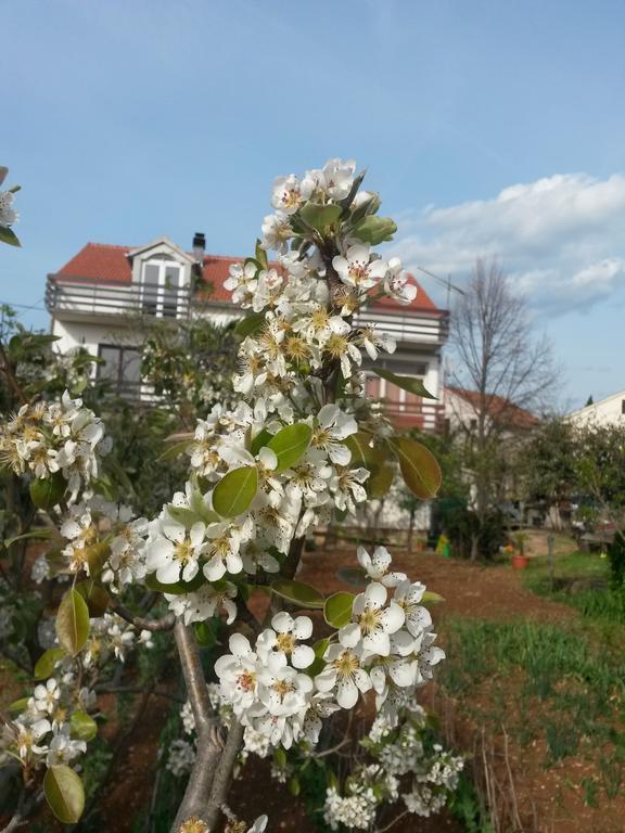 Apartment Ruzica Sukošan Esterno foto